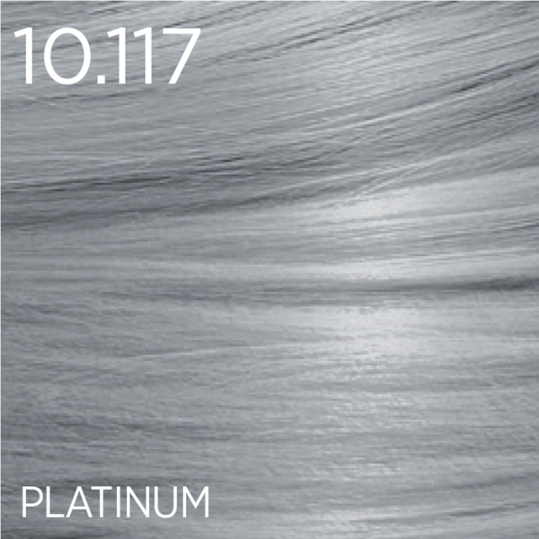 Gothic Grey Farba permanentna 100ml