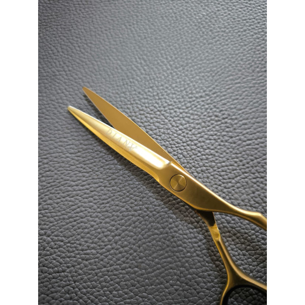 Nożyczki fryzjerskie Diana Premium Gold
