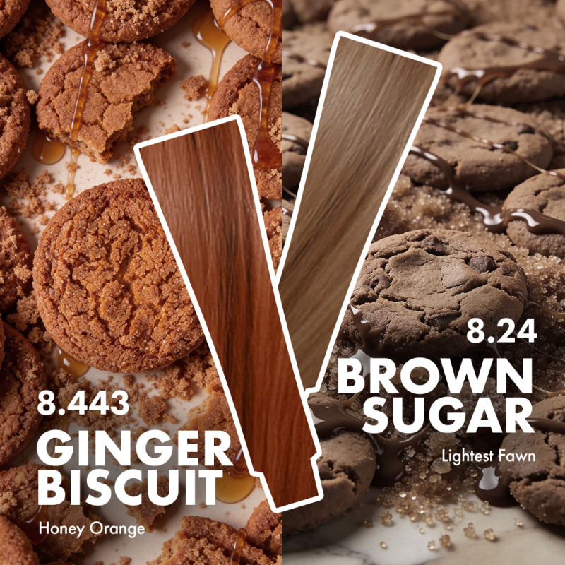Biscuit Blondes Collection BOX 6 szt