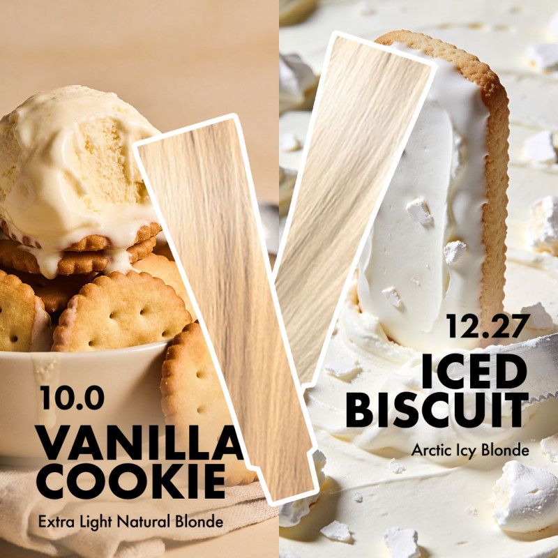 Biscuit Blondes Collection BOX 6 szt