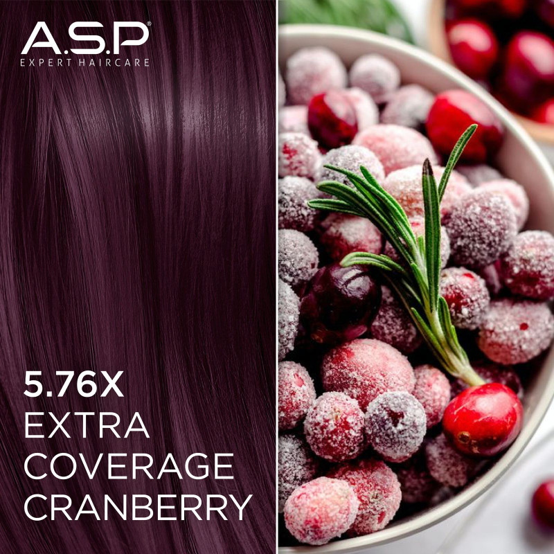 Okazyjny Box 15 Farb Coverów i Natur - ELIXIR...