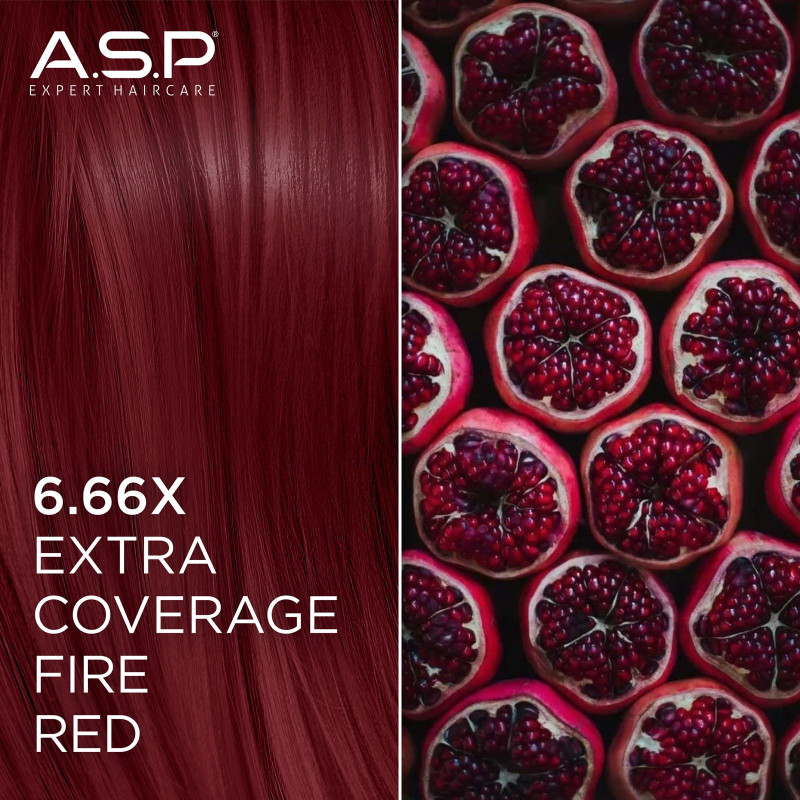 Okazyjny Box 15 Farb Coverów i Natur - ELIXIR...