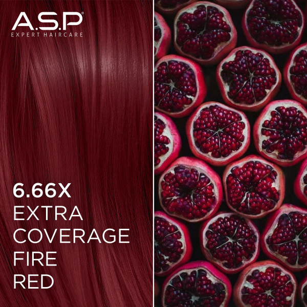 Okazyjny Box 15 Farb Coverów i Natur - ELIXIR do opornej siwizny