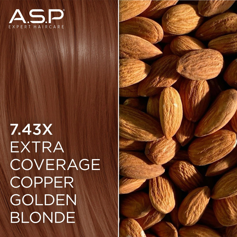 Okazyjny Box 15 Farb Coverów i Natur - ELIXIR...